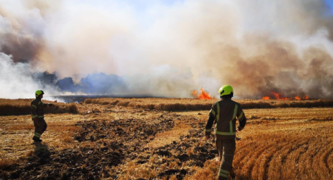Firefighters field fire 