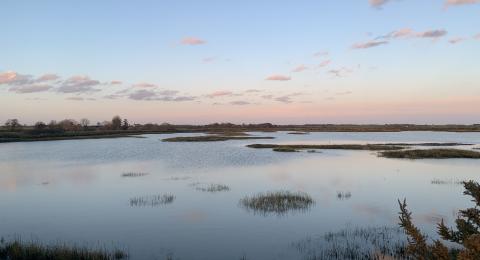 Large open water in Goldhanger, Maldon