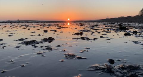 Mersea beach and water at sunset