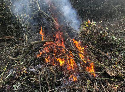 Bonfire