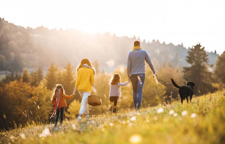 Mum and dad walk uphill in golden hour with a black Labrador. Two children are holding their hands.