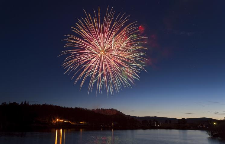 Pink and orange fireworks fill blue dusky sky