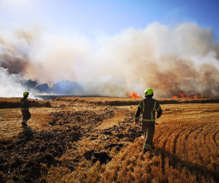 Firefighters field fire 