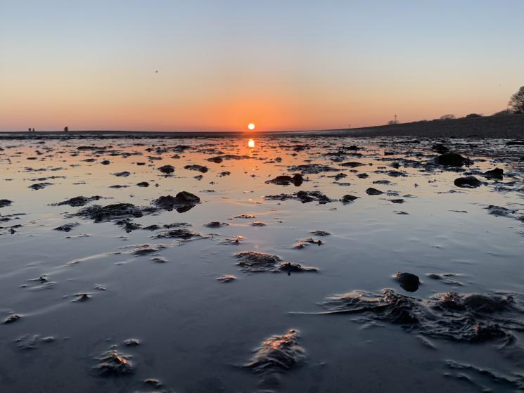 Mersea beach and water at sunset