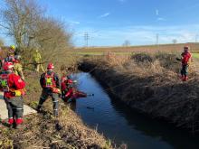 horse rescued by firefighters from ditch