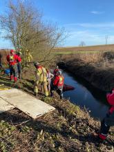 horse rescued by firefighters from ditch