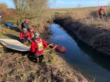 horse rescued by firefighters from ditch