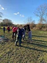 horse rescued by firefighters from ditch