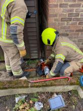 Firefighters rescue a Miniature Schnauzer puppy trapped behind a shed