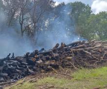 A partially burnt-out wood pile