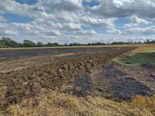 A burnt field after a fire