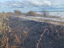 Field fire in East Tilbury