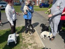 Four dogs reunited with their owners after being rescued after a shed fire