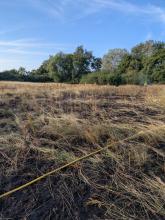 Burnt out crops