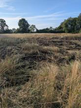Burnt out crops