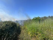 Grass on fire along a sea wall next to a crop field
