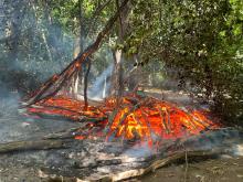 Fire burning in woodland area