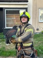 FF Harry McWilliam and the bird of prey