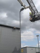 Firefighters rescue seagull