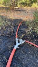 Hoses over damaged woodland