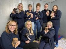 White Watch control with Katie from Danaher Animal Rescue