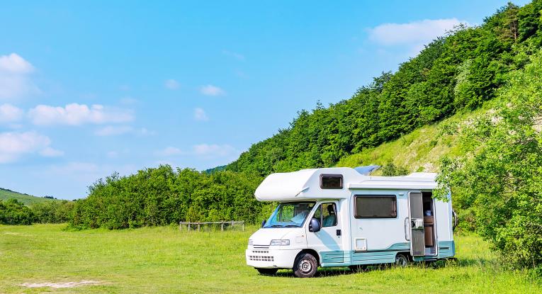 Caravan parked in a field surrounded by bushes and blue sky