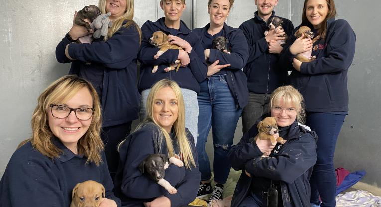 White Watch control with Katie from Danaher Animal Rescue