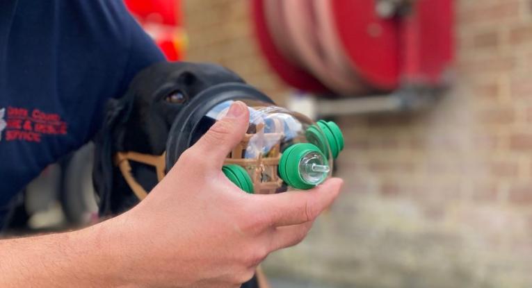 dog oxygen therapy masks